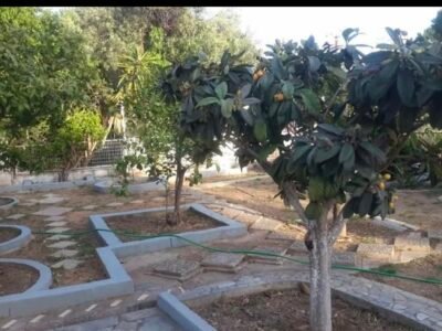 Ενοικίαση μονοκατοικίας 76 τμ στο Λαγονήσι για τον Σεπτέμβριο 2026