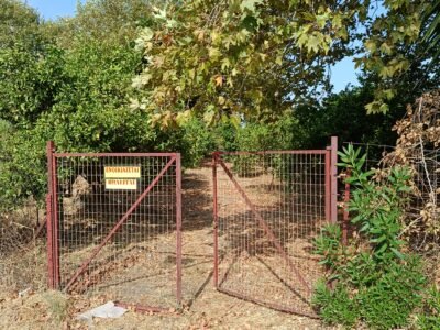 Αγροτεμάχιο